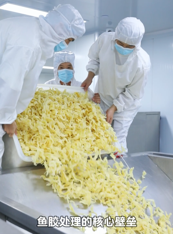 花胶加工厂葛兰瑞克(厦门)食品科技有限公司鱼胶洁净中央系统概要5.png
